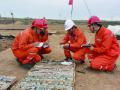中国地质学会2022年度地质科技重要进展地质找矿重大成果评点